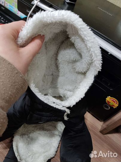 Костюм для собак