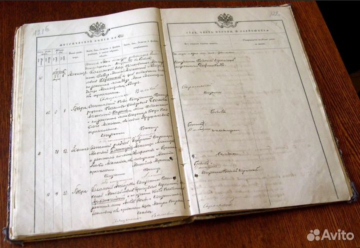 Генеалогическое древо / Генеалогия / Родословная