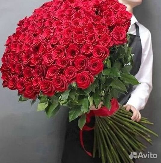 Высокие розы