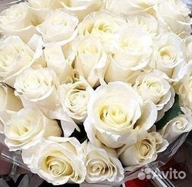 Розы Цветы Букеты 25 151 201 101 301 501 опт