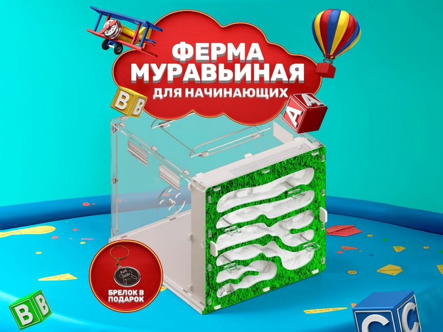 Муравьиная ферма