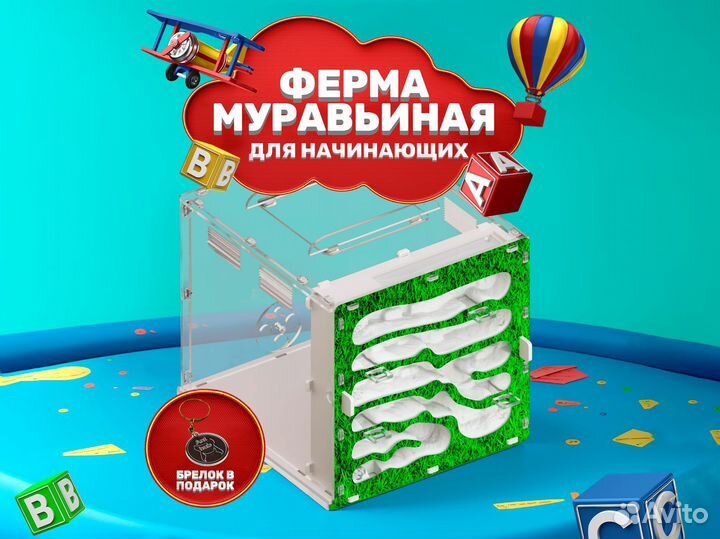 Муравьиная ферма