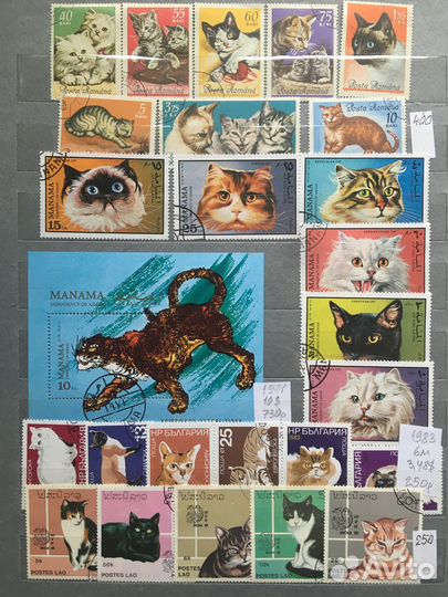 Кошки и котята