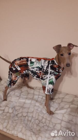 Комбинезон для собак зимний