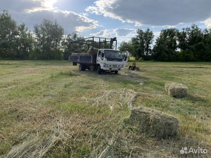 Сено в тюках. Зеленое. Покос 2024