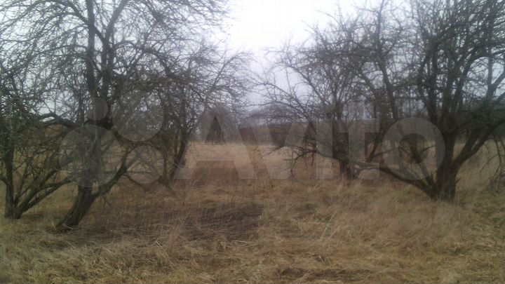 Дом 50 м² на участке 100 сот.