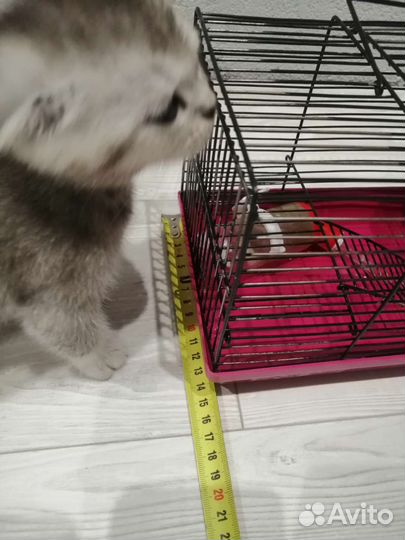 Клетка для хомяка
