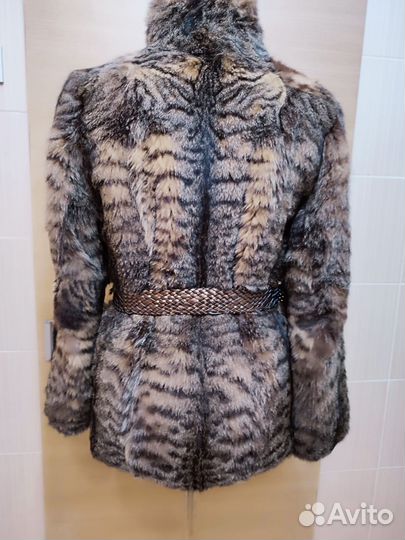 Камышевый кот полушубок шуба рысь
