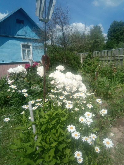 Дача 20 м² на участке 8 сот.