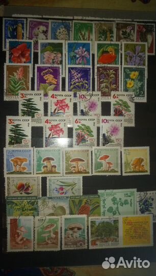 Марки СССР Заруб. Фауна Флора и др.1956-74г