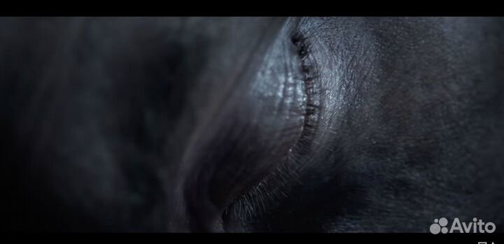 Elden ring PS4 и PS5