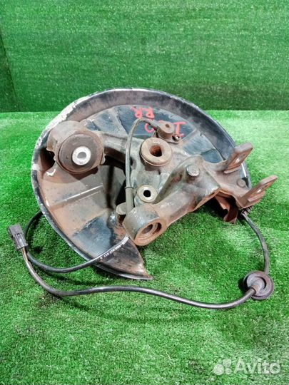 Цапфа задняя правая Audi A4 8E B7 ALT (2.0) 2007