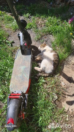 Электросамокат kugoo m4