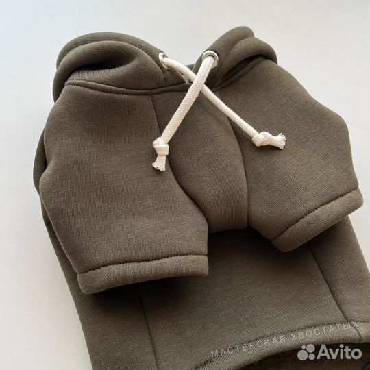 Одежда для собак