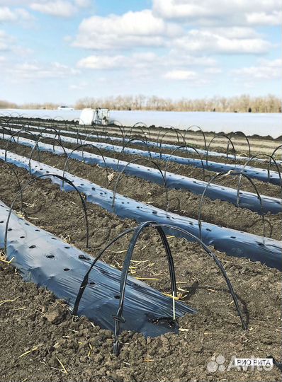 Колышки для растений, парников 8 мм