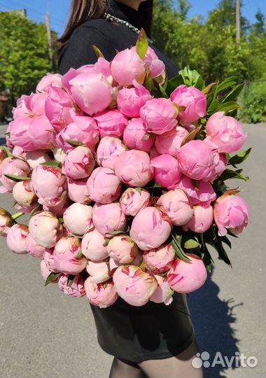 Пионы Премиум букеты с доставкой