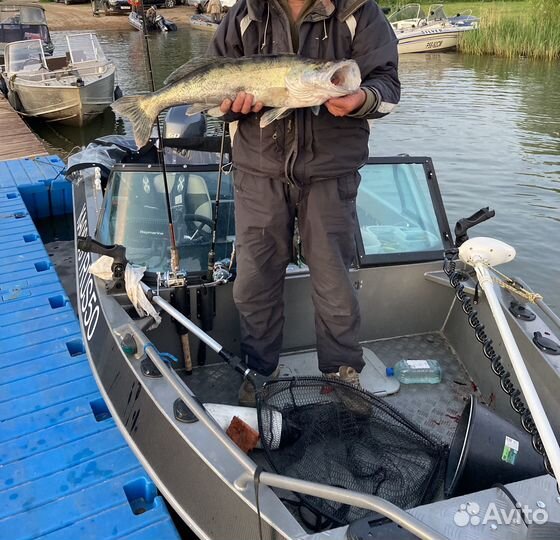 Продам Волжанку 49