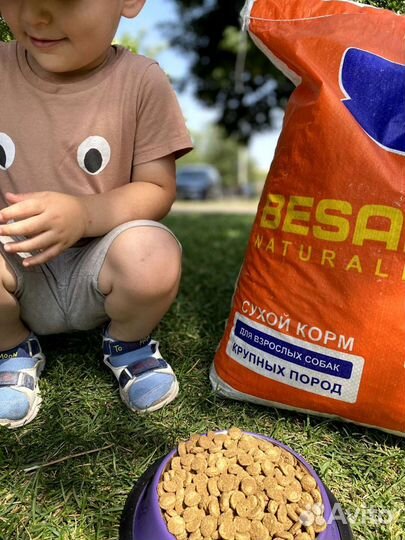 Сухой корм для собак 15 кг