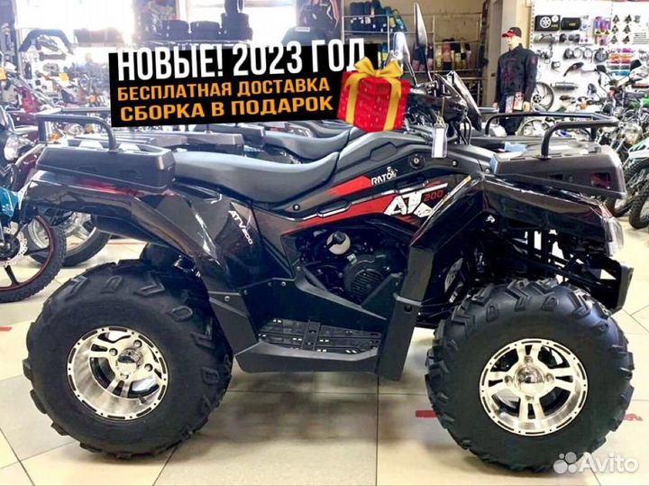 Квадроцикл Yacota Cabo 200 LD Новый 2023