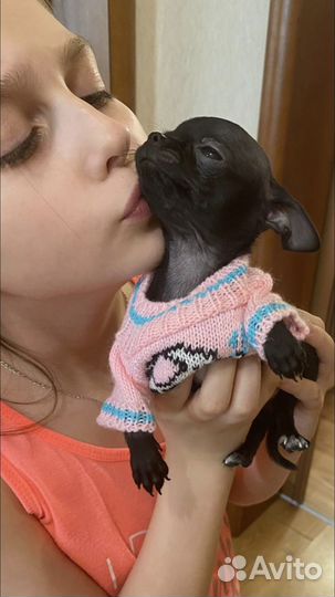 Мини девочка Мия