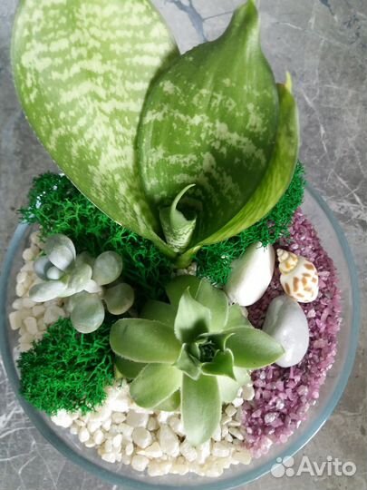 Флорариум с наполнением