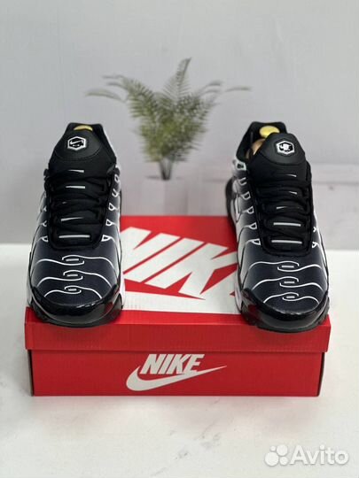 Кроссовки Nike air max tn plus