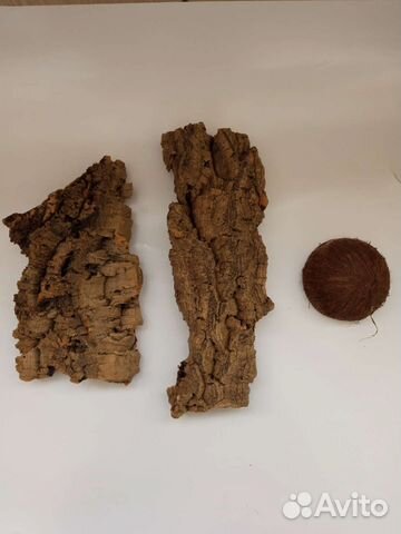 Орхидеи. Пробковые блоки из дуба