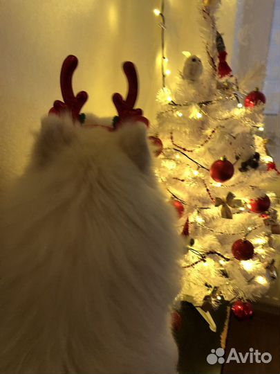 Ель/ёлка искусственная белая 90см