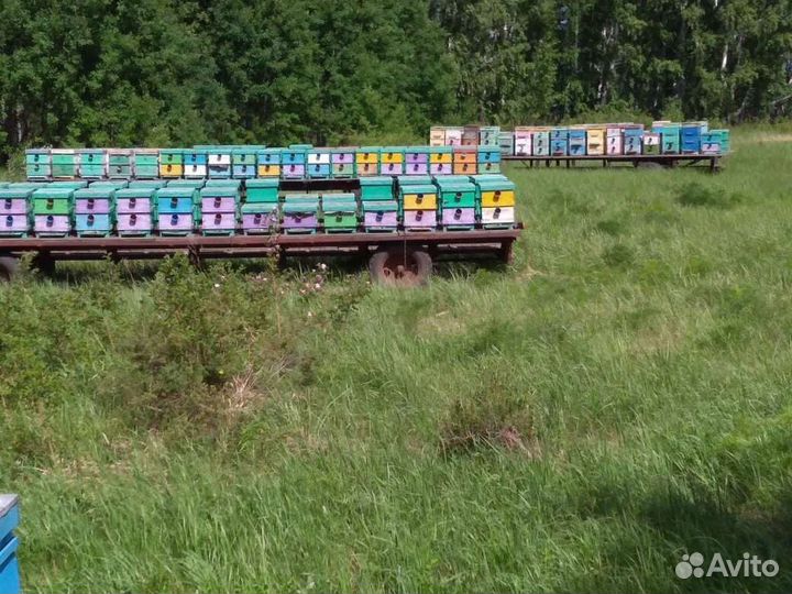 Прицеп для перевозки пчёл