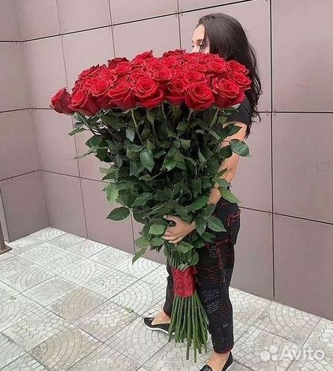 Высокие розы Гигантские Розы 150 160 170 180 190см
