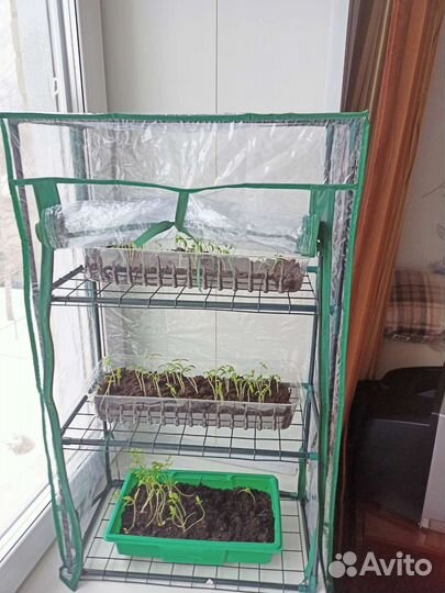 Парник на подоконник