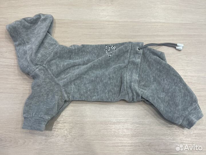 Одежда для маленьких пород собак