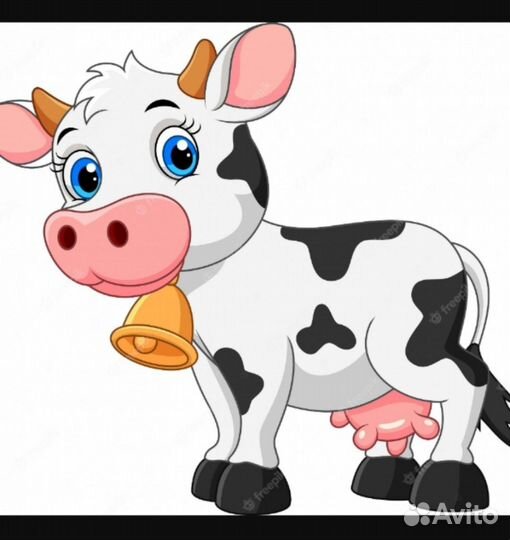 Корова на мясо
