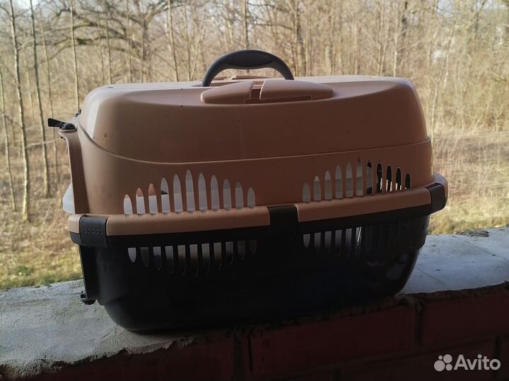 Мэйн кун бесплатно