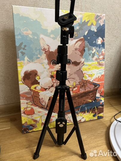 Штатив с блютуз пультом
