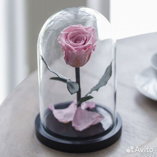 Роза в колбе