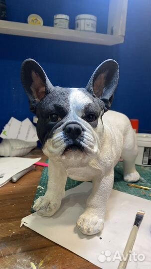 Бульдог, Йорк, питбуль - собака по фотографии