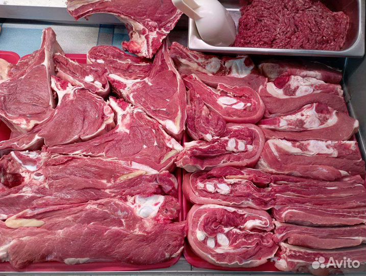 Мясо Халяль говядина/баранина/шашлык/конина/куры