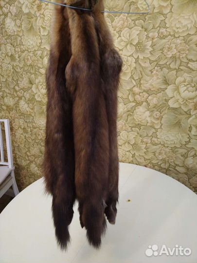 Шкуры баргузинского соболя