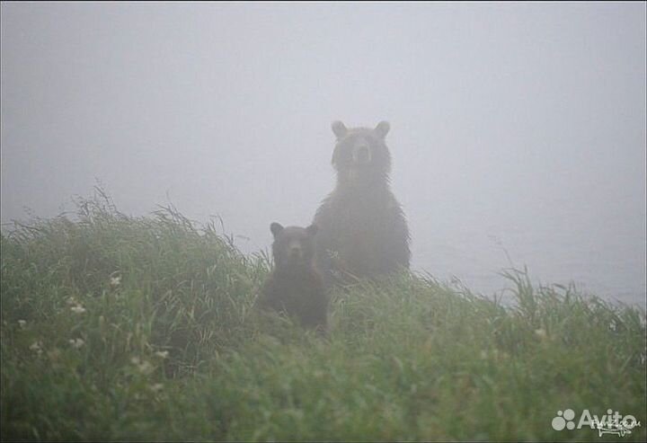 Свой человек в Хабаровске