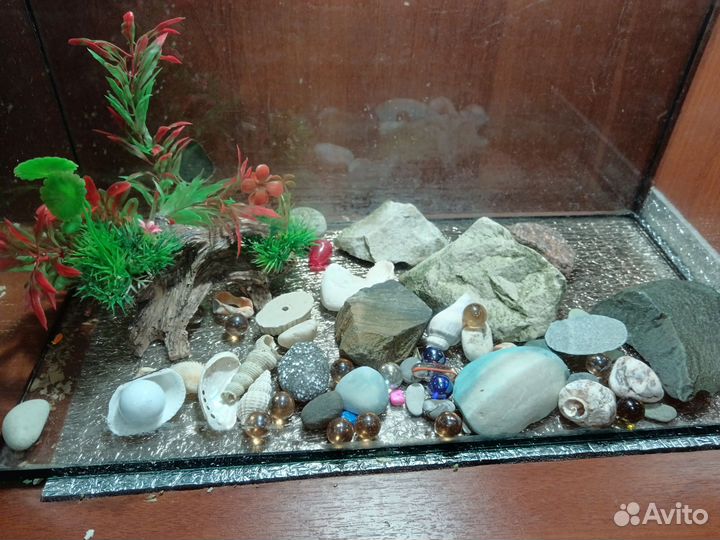 Аквариумы 60 и 35л