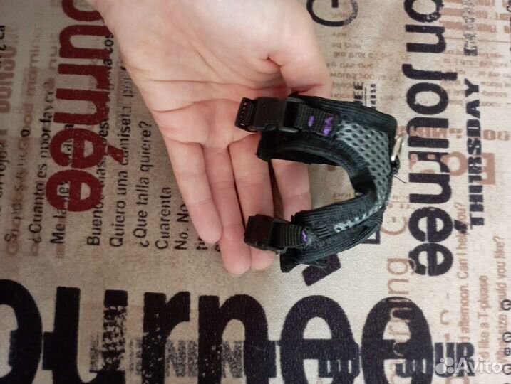 Шлейки для грызунов