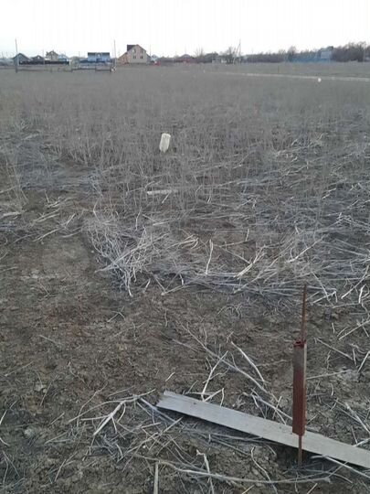 Участок 8 сот. (ИЖС)