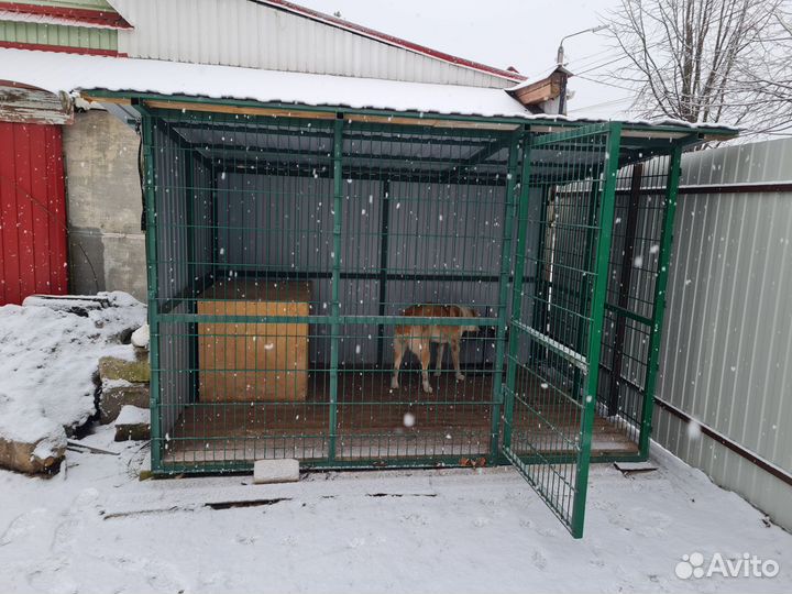 Вольер для собак 2*3м