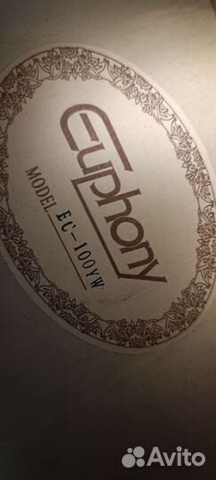 Гитара + чехол + струны + медиаторы