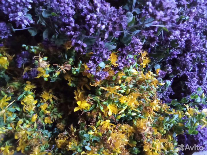 Душица, зверобой, тысячелистник