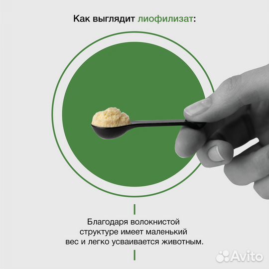 Лакомство для кошек в корм. Кожа и шерсть