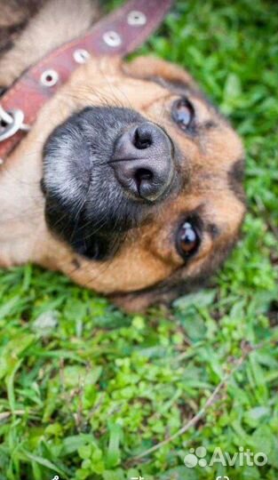 Добрый мальчик из, черного приюта