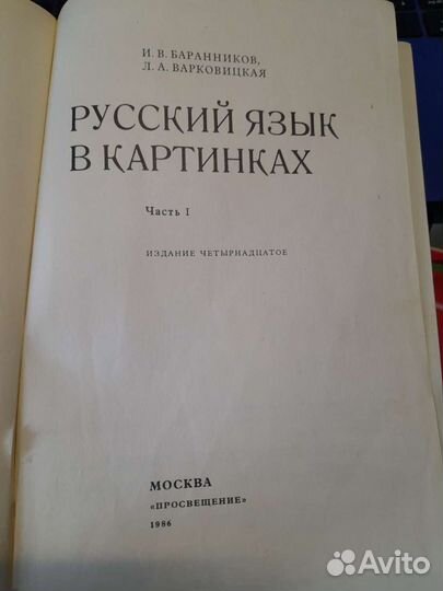 Русский язык в картинках