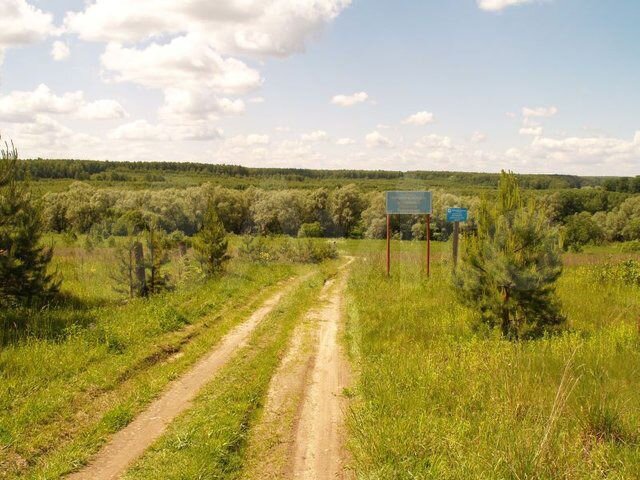 Участок 5,55 га (ИЖС)